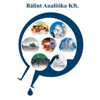 BALINT ANALITIKA